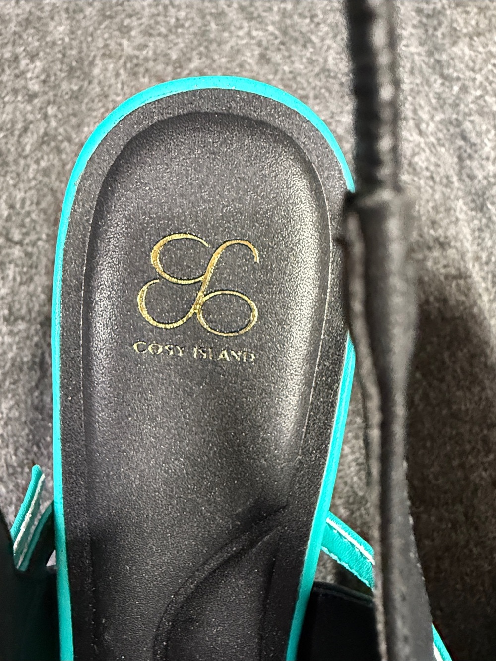 Cozy Island Black Pointed Slingback Heels with Turquoise Strap - Picture 2 of 9